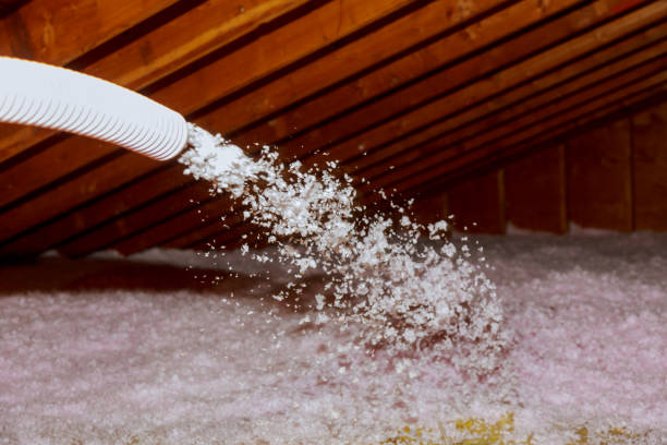 Best Eco-Friendly Insulation in Stone Park, IL