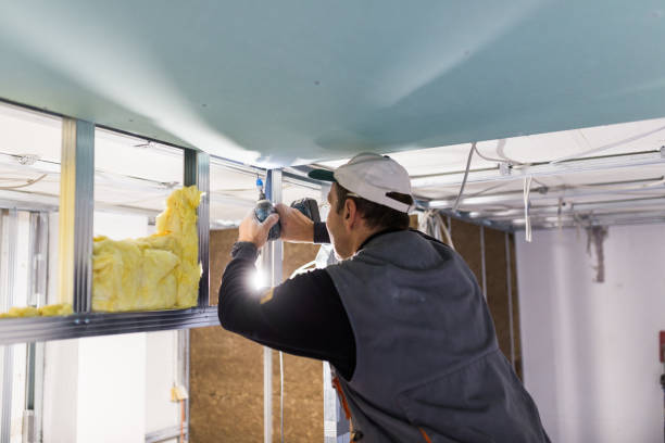 Best Commercial Insulation in Stone Park, IL