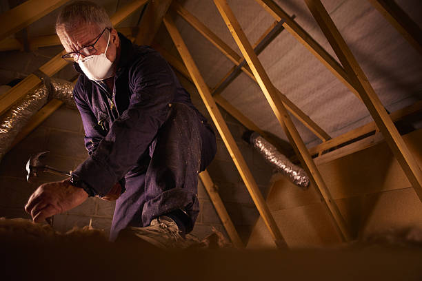 Types of Insulation We Offer in Stone Park, IL